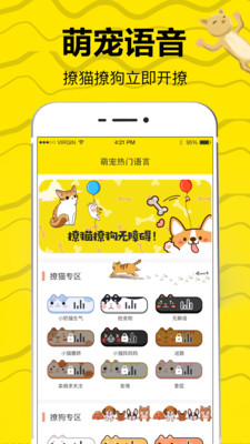 猫狗翻译app