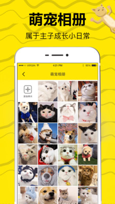 猫狗翻译app