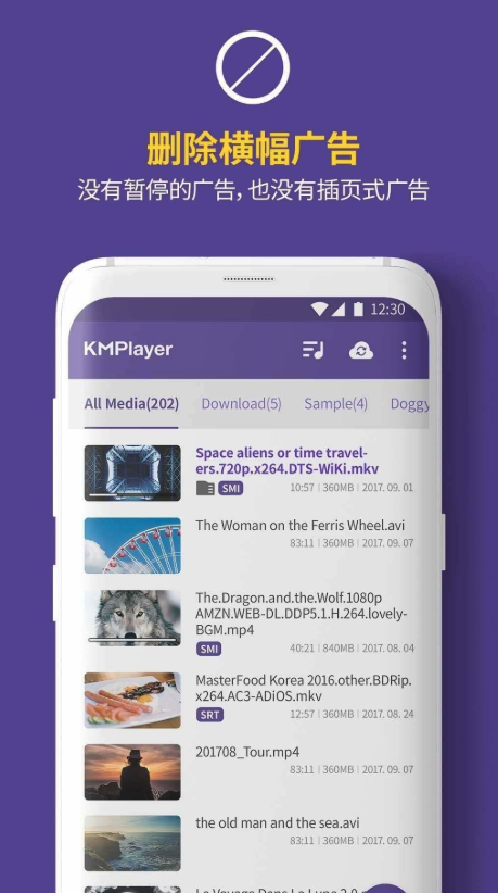 KMPlayer（播放器）