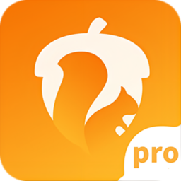 坚果隐藏pro版app