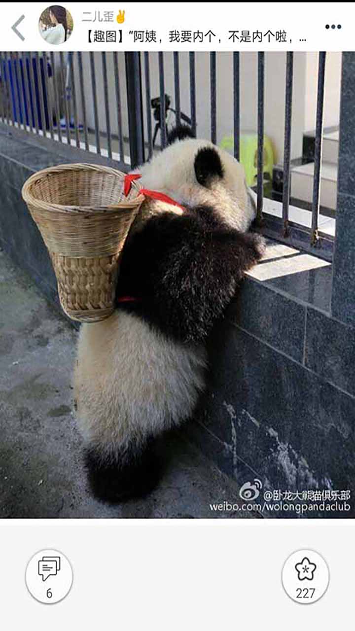 柚次元最新版本
