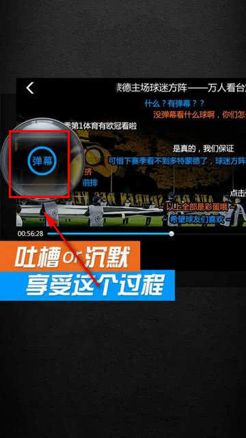 PP体育