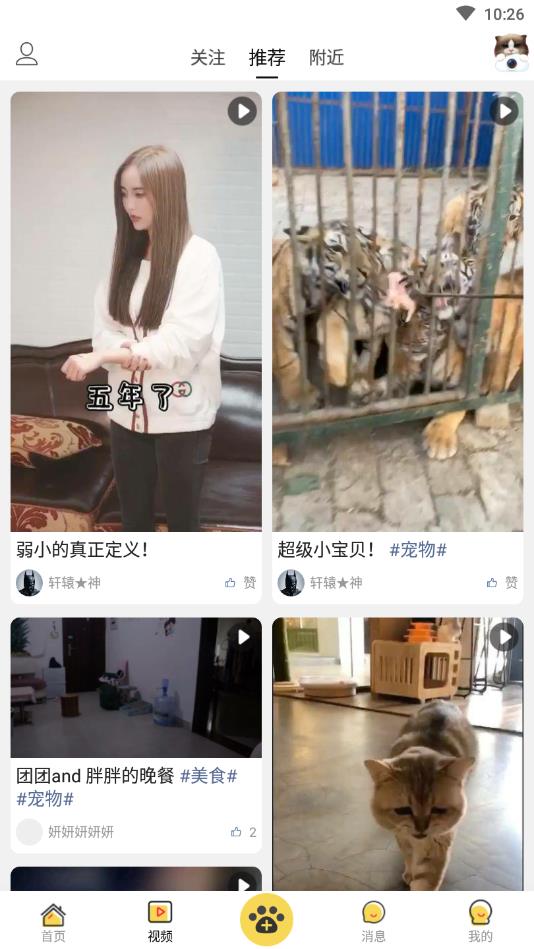 饭团萌官方版