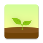Forest(专注森林)