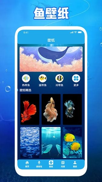养鱼小高手app