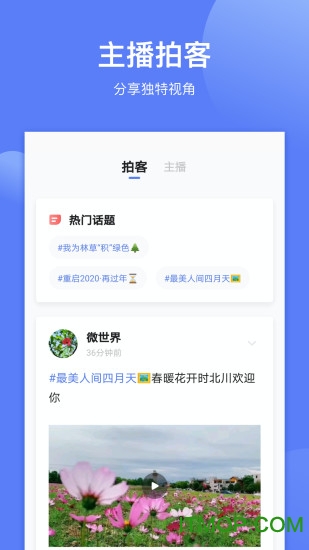 四川观察app
