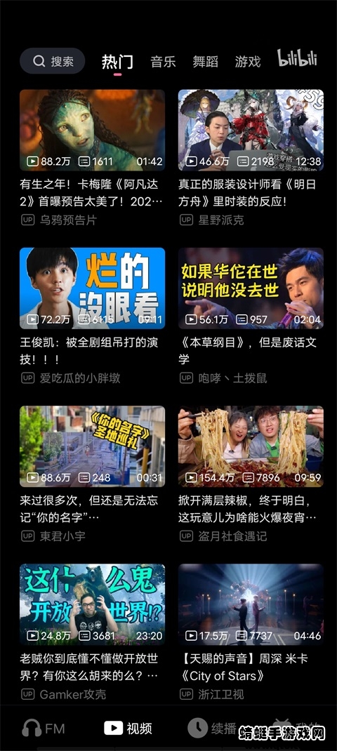 哔哩哔哩车载版