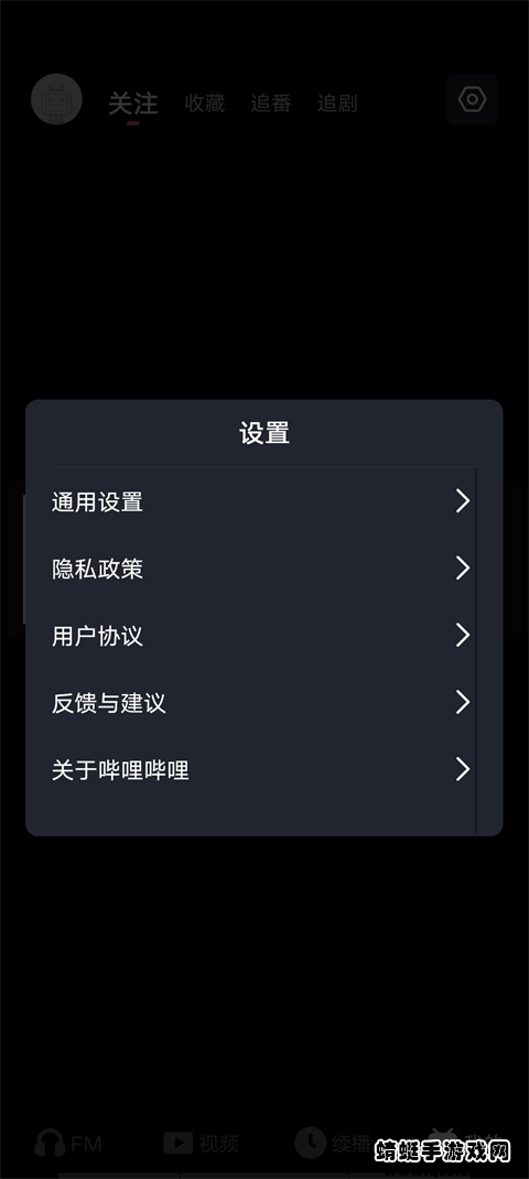哔哩哔哩车载版