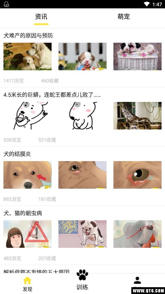训狗养狗助手