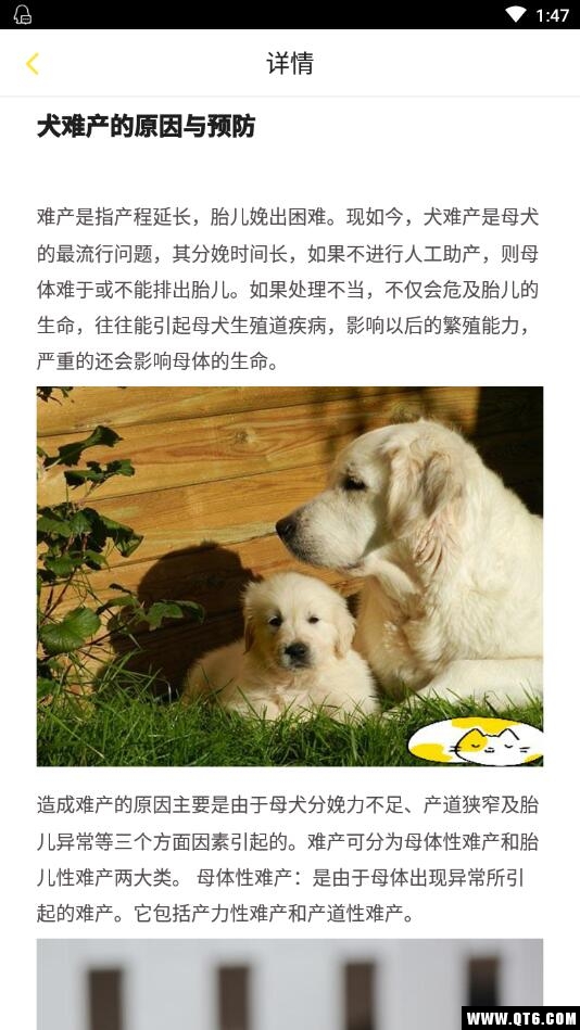 训狗养狗助手