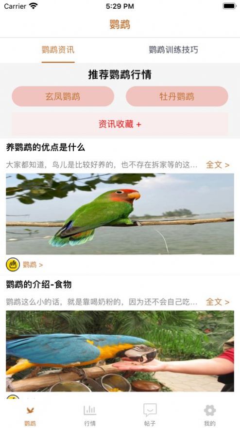 清萌鹦鹉安卓app安装 1.1