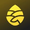 松果出行app最新版本