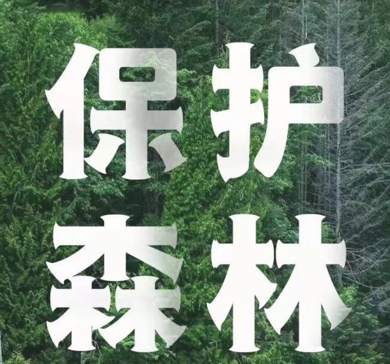 港深文交所交易平台app官方版