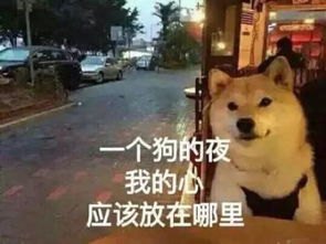 伊对缘