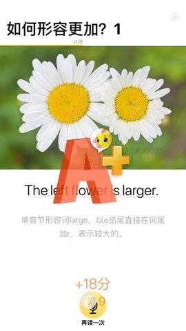 盒子鱼英语专用版