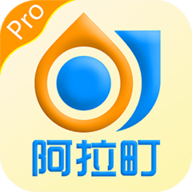 阿拉町Pro
