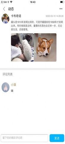 糖果小圈
