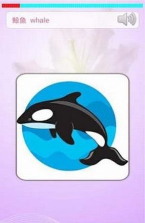 小孩子学英语app最新版