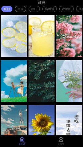自制壁纸app