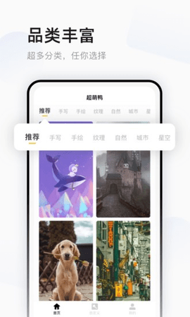 超萌鸭壁纸（iWallart）
