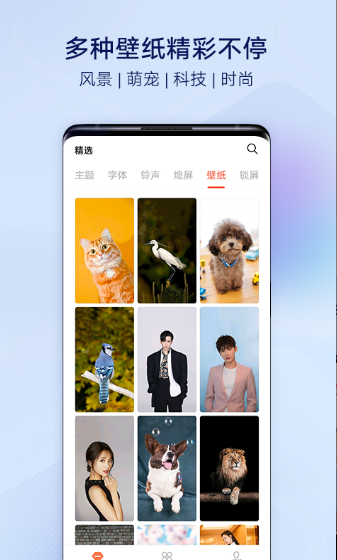 i主题vivo