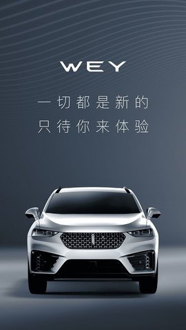 魏