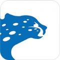 飞豹出行司机端官方APP