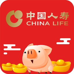 掌上国寿苹果