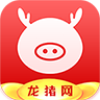 龙猪网官方版