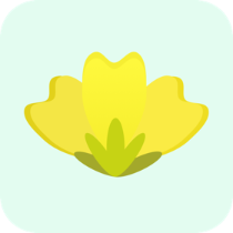 小菜花赚提现版