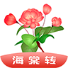 海棠转提现版