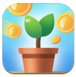 阳光金屋app