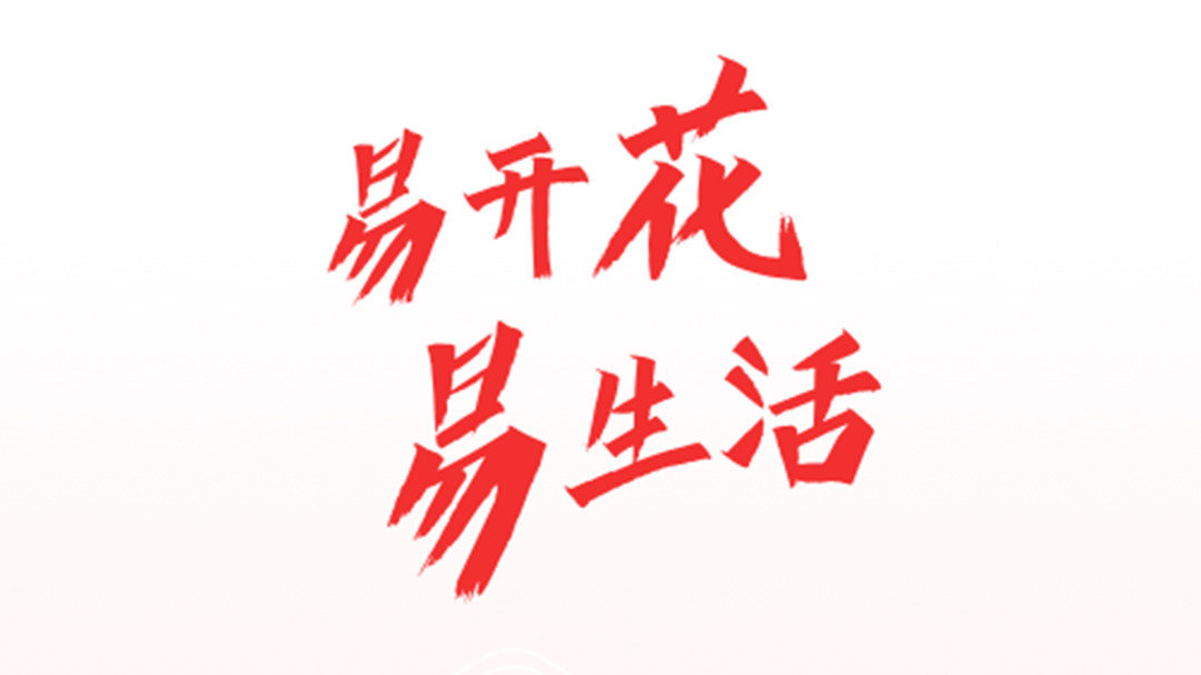 易开花E点贷
