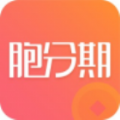 胞分期