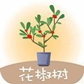 花椒树app贷款