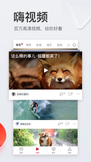 网易新闻 免费版