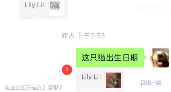 8800元网购的猫不到一周就离世：联系商家发现已被拉黑