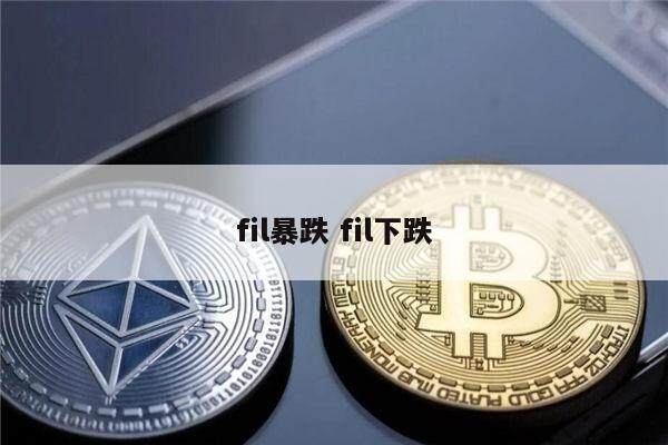fil币为什么一直暴跌 为什么这么多人坚信FIL会飙升-第1张图片-芝麻交易所下载