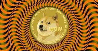 狗狗币钱包专业版下载_狗狗币钱包安卓手机端最新版v5.3.3