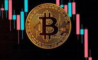 LUNC币六月份共销毁多少(4s店明明有车为什么还要等)