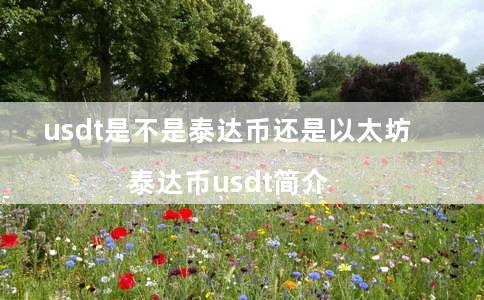 usdt是不是泰达币还是以太坊（泰达币usdt简介）-第1张图片-芝麻交易所下载