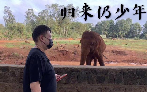 大象传媒软件下载（大象传媒软件下载苹果版）-第3张图片-芝麻交易所下载