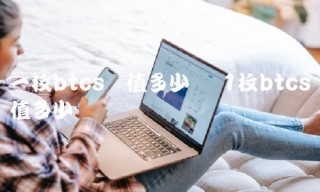 一枚btcs币值多少钱