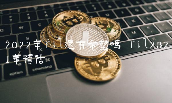 2022年fil还有希望吗-第1张图片-芝麻交易所下载