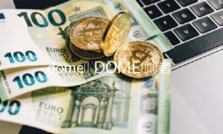 DOME币开发者