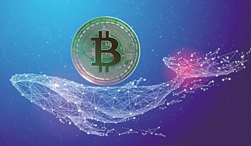 (btc期货交易平台安装)btc虚拟币期货交易APP地址-第1张图片-芝麻交易所下载