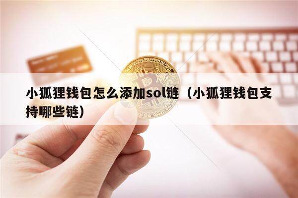 小狐狸钱包怎么添加sol链（小狐狸钱包支持哪些链）-第1张图片-芝麻交易所下载