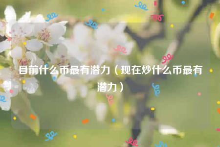 目前什么币最有潜力（现在炒什么币最有潜力）-第1张图片-芝麻交易所下载