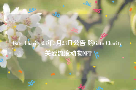Gate Charity 23年3月23日公告 购Gate Charity 关爱流浪动物NFT-第1张图片-芝麻交易所下载