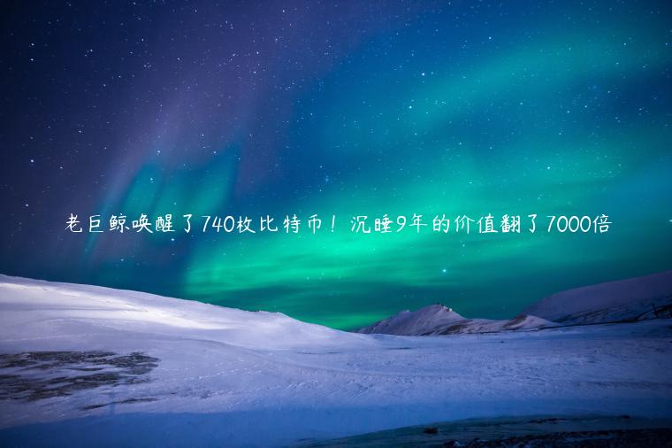 老巨鲸唤醒了740枚比特币！沉睡9年的价值翻了7000倍-第1张图片-芝麻交易所下载